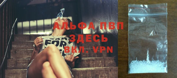 прущие грибы Богданович