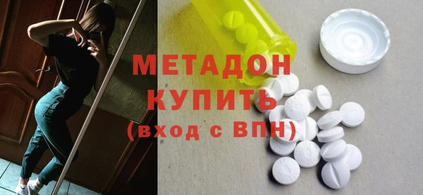 прущие грибы Богданович