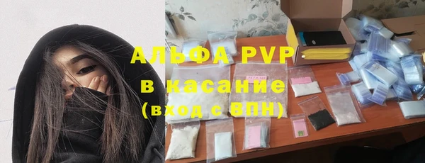 прущие грибы Богданович