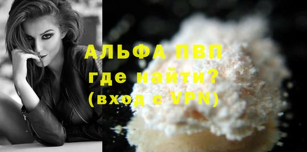 прущие грибы Богданович