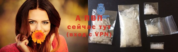 стафф Богородицк
