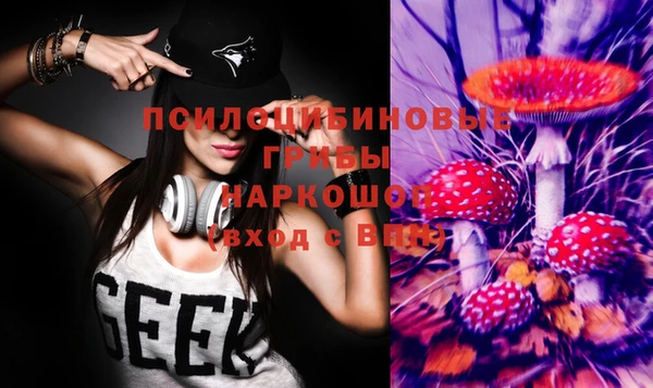 прущие грибы Богданович