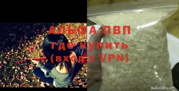 прущие грибы Богданович