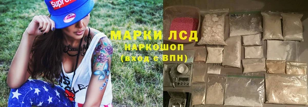 стафф Богородицк