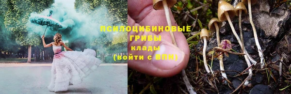 стафф Богородицк