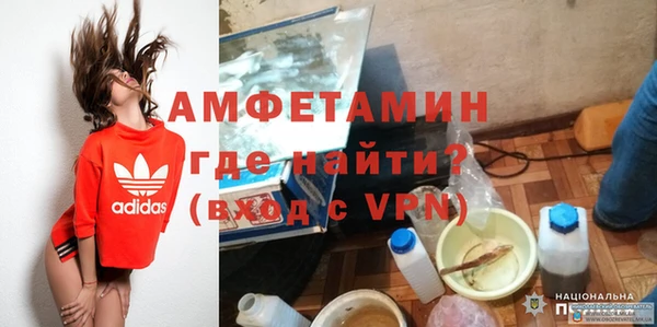 прущие грибы Богданович